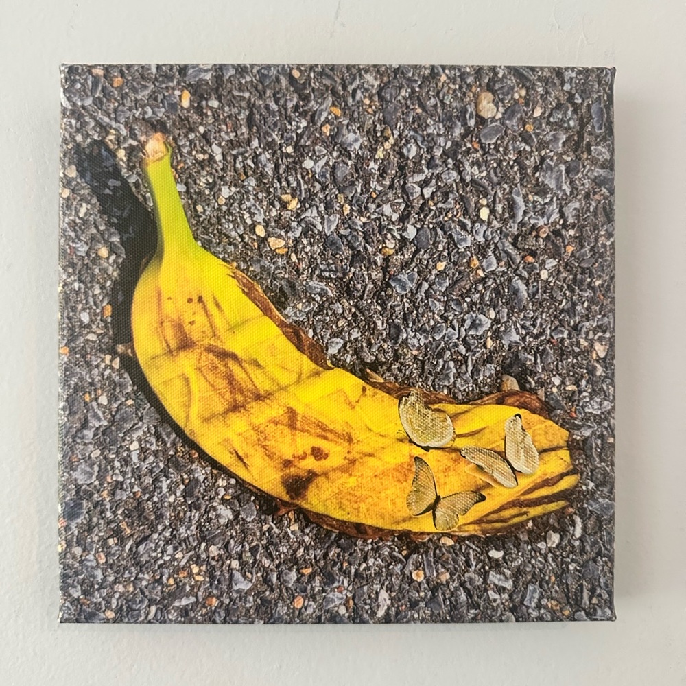 “Mauricio’s Romance” 8x8 Artwork